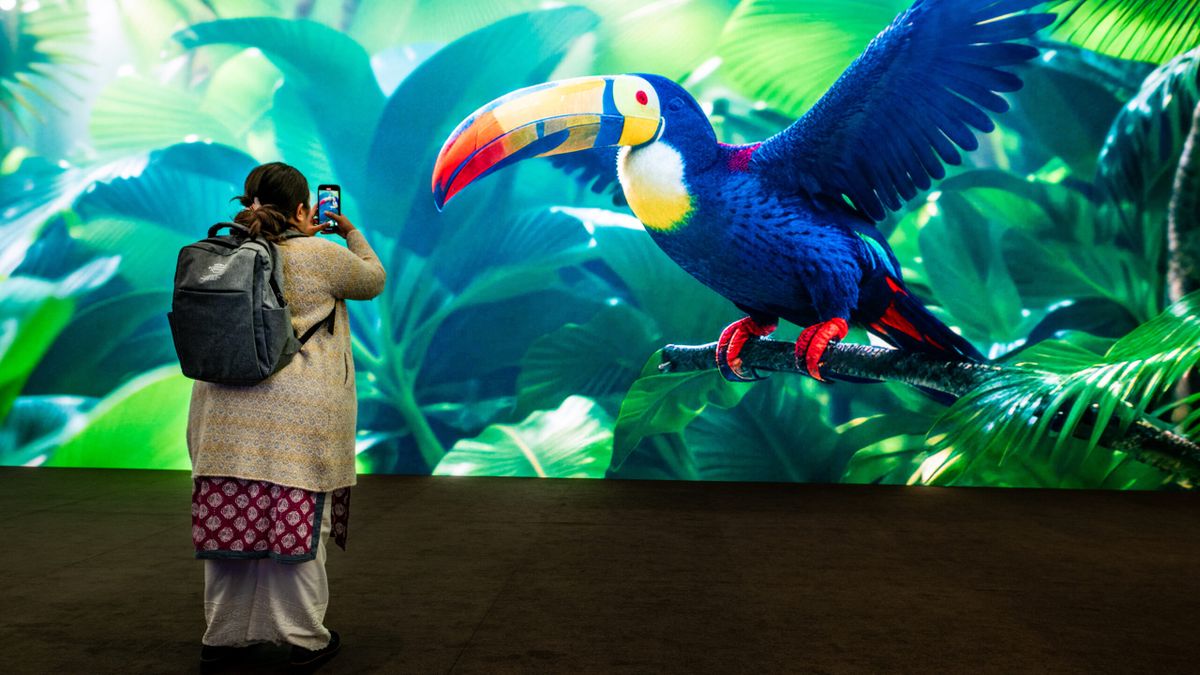 World Economic Forum Annual Meeting 2024