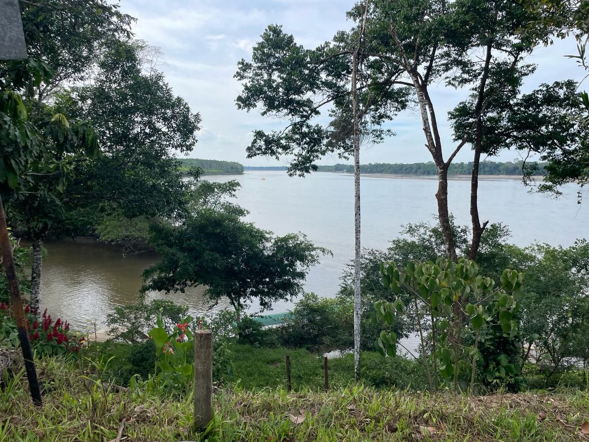 Parque Nacional Yasuní