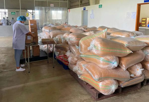 51 iniciativas comunitarias que protegen ecosistemas se han beneficiado de Fondo Ñeque