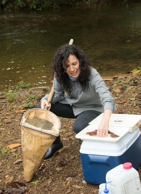 Por qué Cuenca y Quito son el buen y el mal ejemplo en el manejo del agua en Ecuador