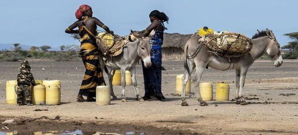 COP29: mujeres del África subsahariana dedican millones de horas al día a buscar agua