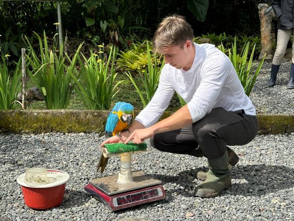 Los voluntarios extranjeros pagan para cuidar la fauna ecuatoriana