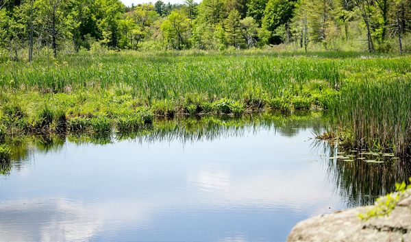 En Quito, solo 5% del agua residual es tratada antes de volver a los ríos