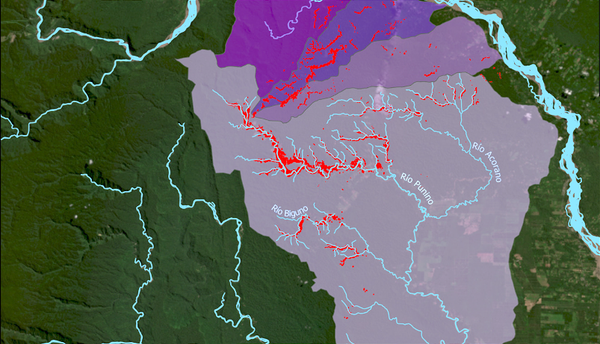No solo en Punino: la minería ilegal devasta la Amazonía norte