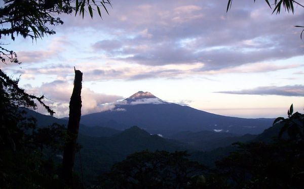 12 áreas protegidas están en riesgo por actividades ilícitas