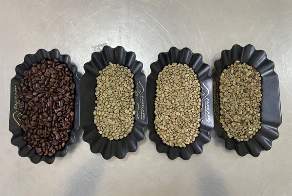 Café de origen y valor agregado, la apuesta productiva de Loja