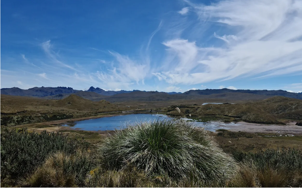 Nuevo plan de manejo para Llanganates; vía Salcedo-Tena, en suspenso