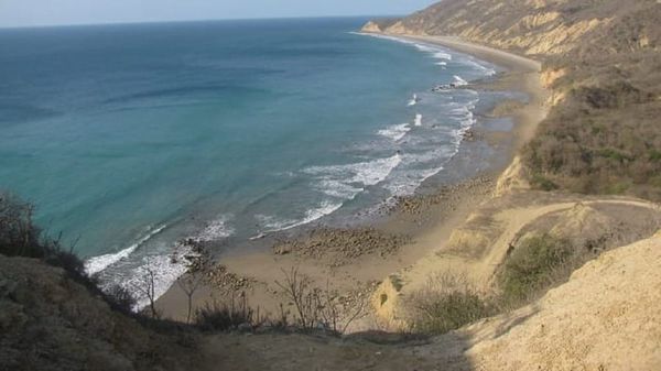 Ley de Áreas Protegidas entra en vigencia e incorpora temas ajenos a su propósito