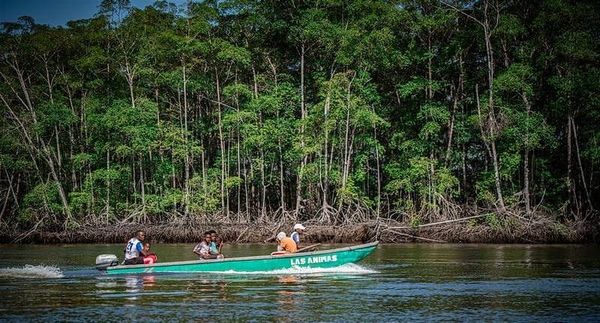 El manglar protegido superó las 100.000 hectáreas en Ecuador