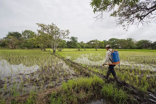 El cambio climático amenaza más al agro y la manufactura