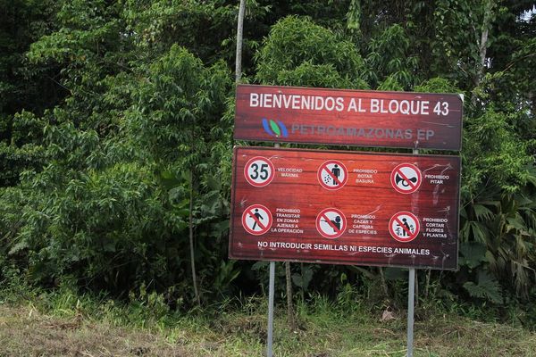 ¿Qué pasó con la consulta del Yasuní y el Chocó Andino, dos años después?