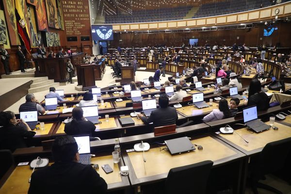 Asamblea debate ley de control que preocupa a ONG y fundaciones