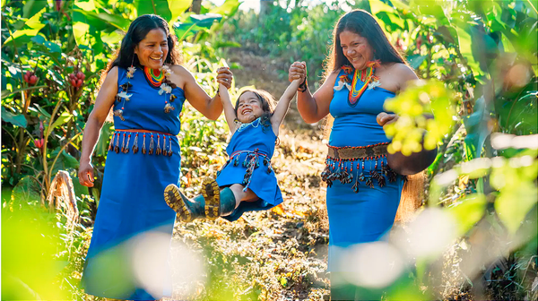 Los corredores de conectividad pueden mejorar la calidad de vida