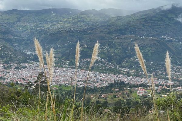 GAD provinciales aumentaron inversión ambiental en 2024