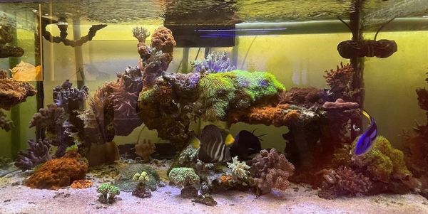 Un laboratorio marino a 2.662 metros de altitud y a 200 km del mar