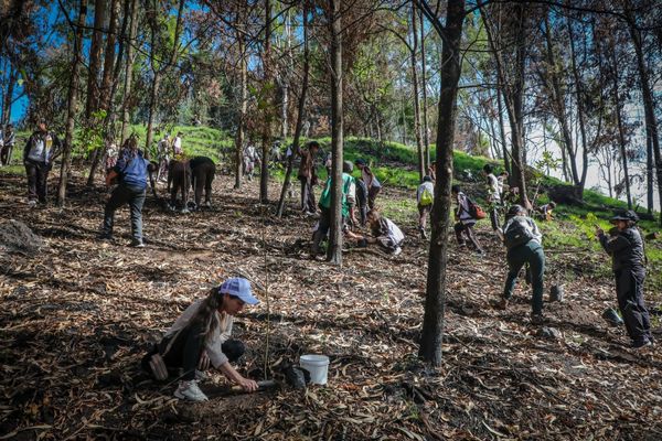 Quito lanza ambicioso plan climático para ser ciudad neutra al 2050
