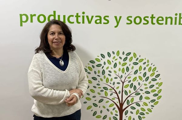 'En Ecuador hay empresas que ya aplican economía circular'