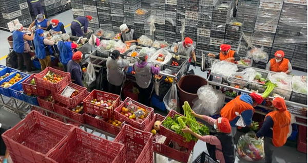 Ecuador tiene alto índice de hambre pero desperdicia alimentos