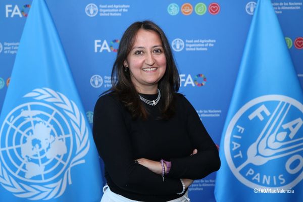 'El cacao es solo el comienzo': Ecuador apuesta por la bioeconomía circular