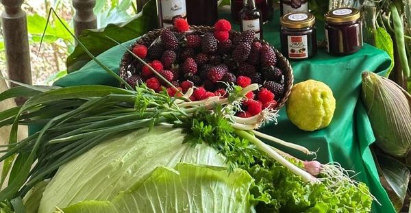 La agricultura regenerativa, un cambio inevitable de paradigma