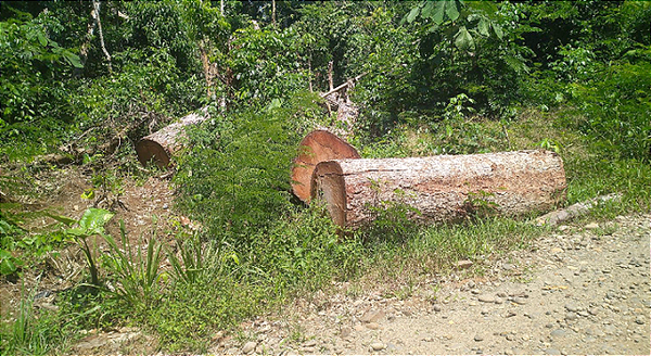 Construcción irregular de vías en territorio Achuar, en 2 provincias