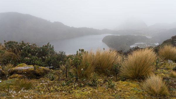 ¿Minería o agua? El dilema en los páramos andinos