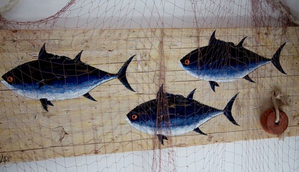 La pesca sostenible rebasa el límite biológico y se rezaga en beneficios