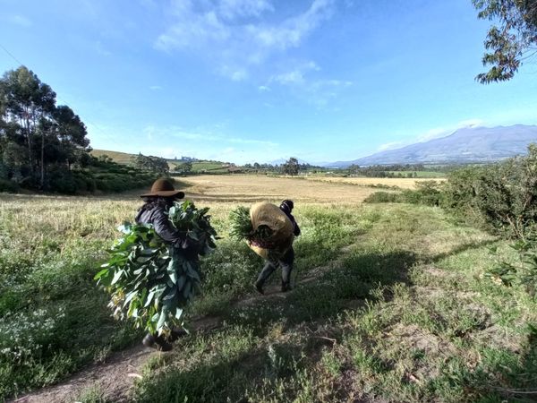 Transparencia climática: Ecuador bajo revisión de la ONU