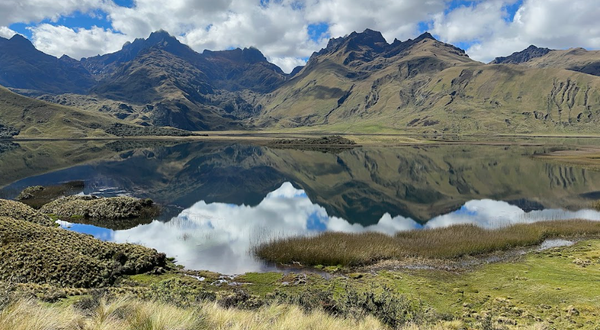 Áreas desprotegidas: ¿podrá la nueva Ley cambiar la realidad?