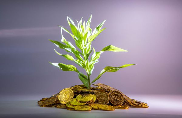 Taxonomía verde en Ecuador: qué es y cuándo se implementará