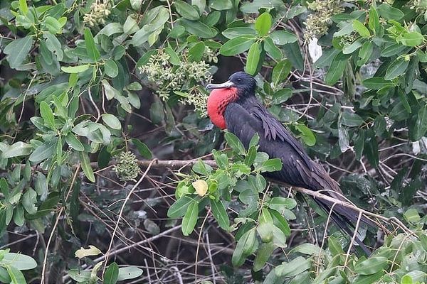 Ecuador pone en marcha su Estrategia de Biodiversidad al 2030