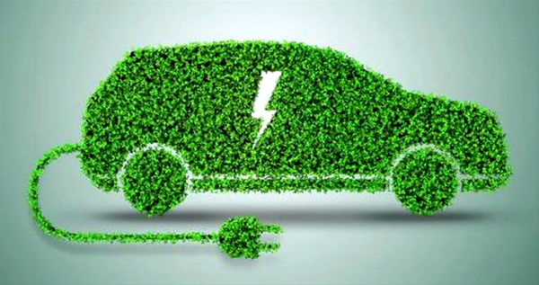 Distorsión sobre híbridos crea perjuicios económicos y ambientales