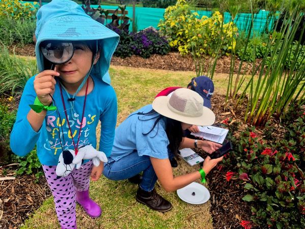 Hábitats ecológicos convierten al Parque Bicentenario en área de vida silvestre