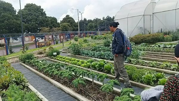 ¿A dónde va el dinero de la tasa de recolección de basura en Quito?