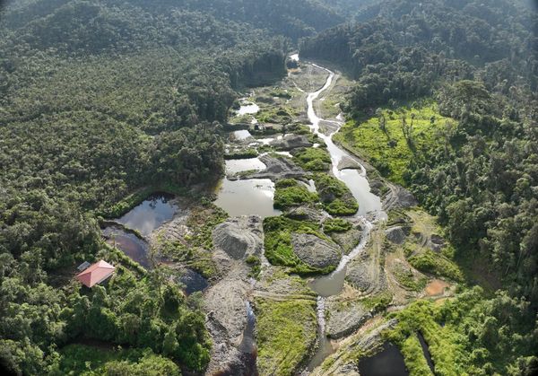 Minería presiona ecosistemas estratégicos del sur amazónico