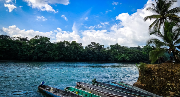 Ecuador: la comuna Playa de Oro cuida 11.000 hectáreas del Chocó