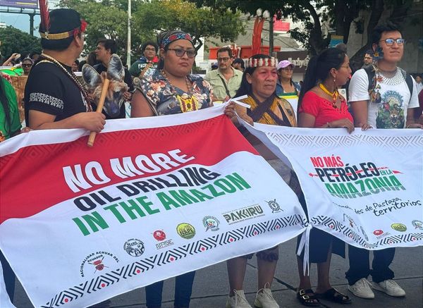 Cinco mujeres que lideran la transición justa en América Latina