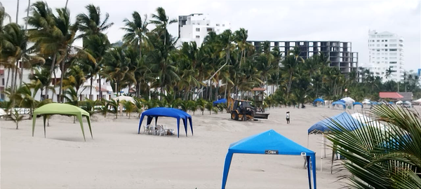 Un SOS desde Same para salvar nidos de tortugas marinas golfinas