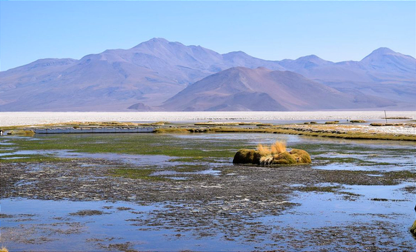 Ciencia e industria se enfrentan en Chile por el reciclaje del litio
