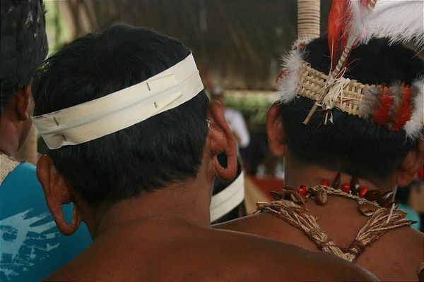 Ambiente desconoce presunto acuerdo de carbono en territorio waorani; Asamblea indaga