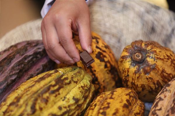 Comercio justo en Ecuador crece y estrena estrategia hasta 2035