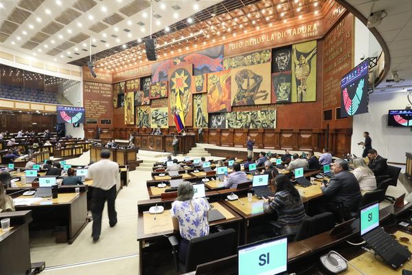 Asamblea vuelve a regular los mercados de carbono tras el veto de 2024