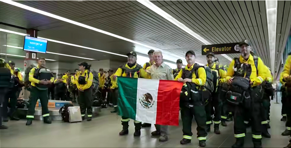 'El área quemada cada año en Canadá se cuadruplicó desde 1970'