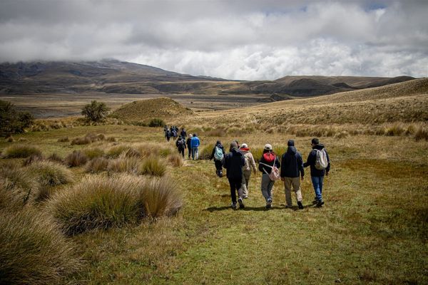 La región necesita USD 170.000 millones anuales para conservar su biodiversidad
