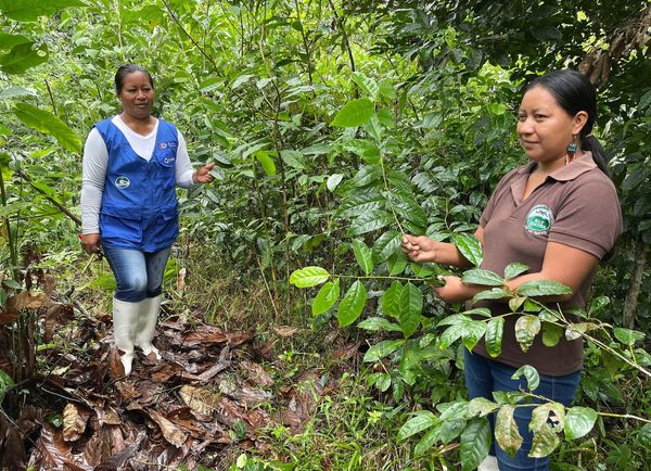 Ecuador amplía a 40 su lista de productos agroexportables