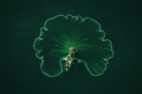 Las impactantes imágenes de los océanos premiadas por la ONU