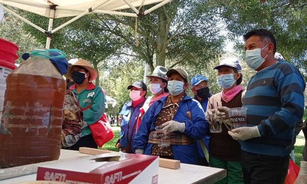 Manos que limpian: los recicladores que sueñan con ser empresarios y salvar al planeta