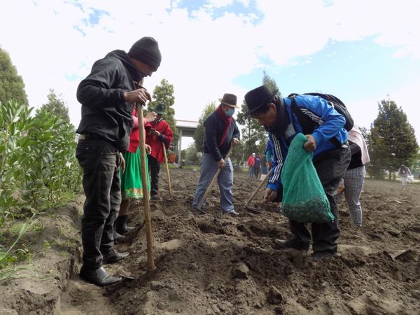 Huertos familiares Chimborazo