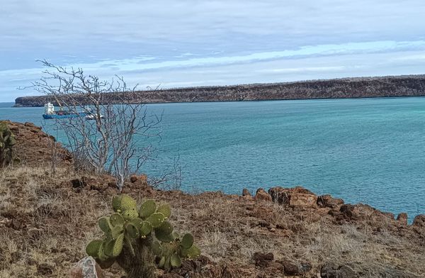 Archipiélago de Galápagos
