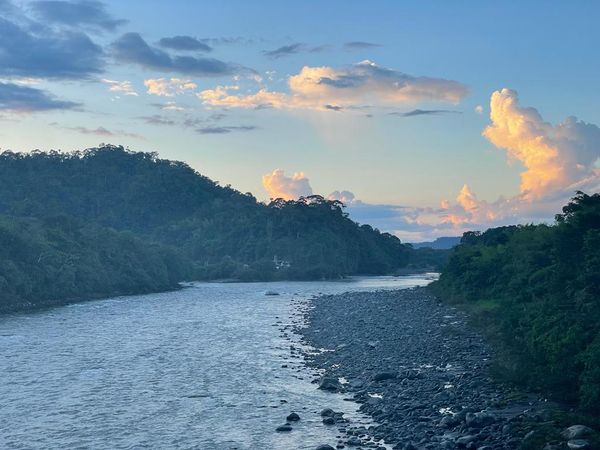 Amazonía y su biodiversidad